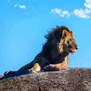 Meet your Posher, Mohamed